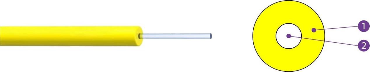 product-1269-250 product-1269-250